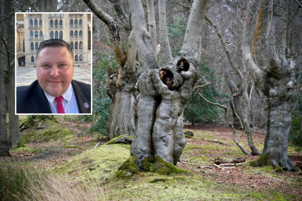 Epping Forest Recognised as ‘Ancient Canopy’ for Queen’s Jubilee