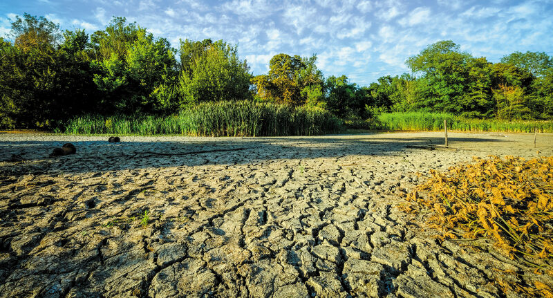 A Deep Problem: Wanstead Park Ponds, Epping Forest