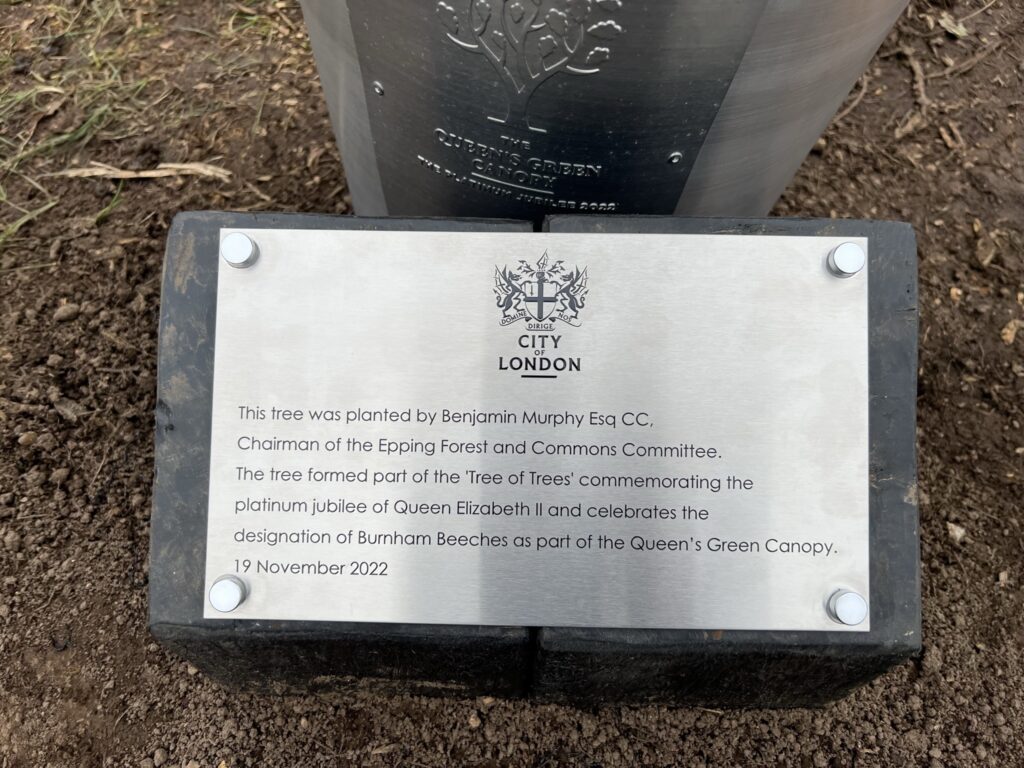 Queen’s Green Canopy ‘Tree of Trees’ Planted in recognition of HM Queen Elizabeth II’s Platinum Jubilee