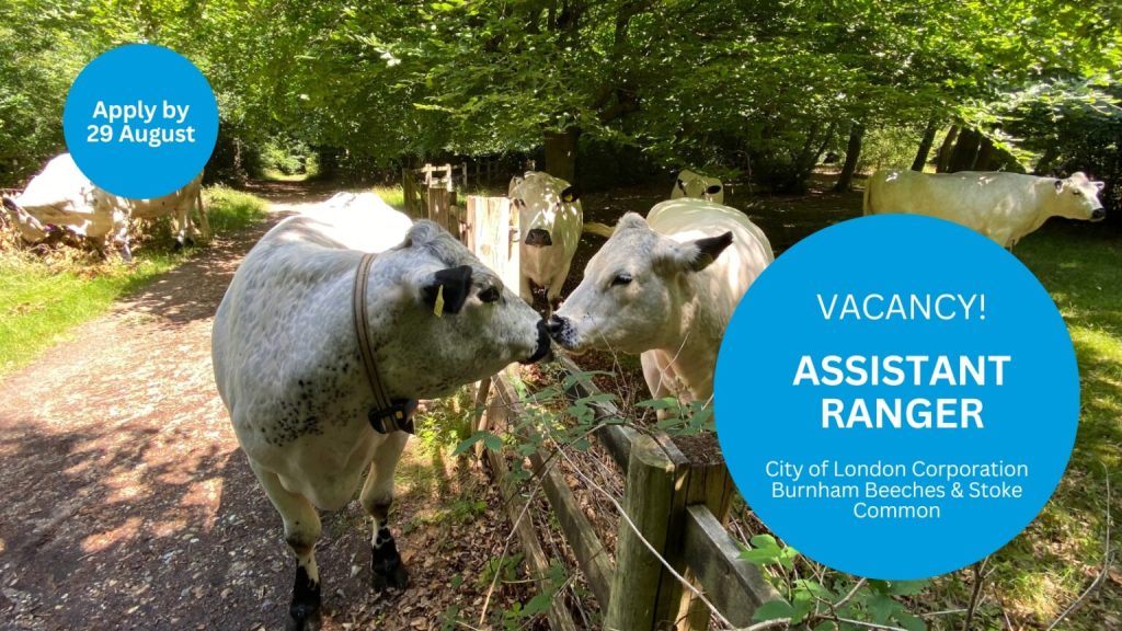 Vacancy: Burnham Beeches & Stoke Common – Assistant Ranger (Conservation – Seasonal FTC)