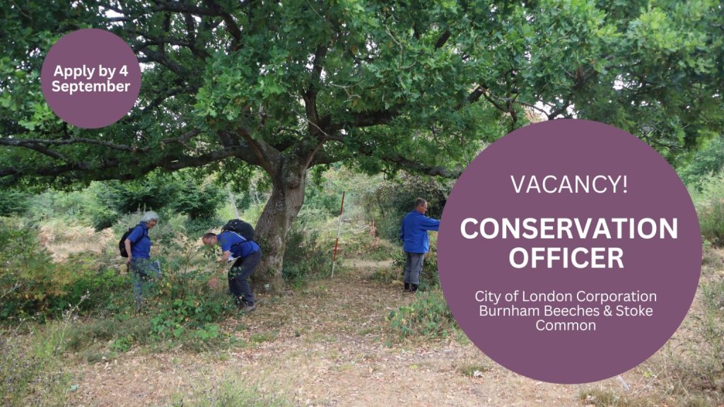 Vacancy: Burnham Beeches & Stoke Common – Conservation Officer
