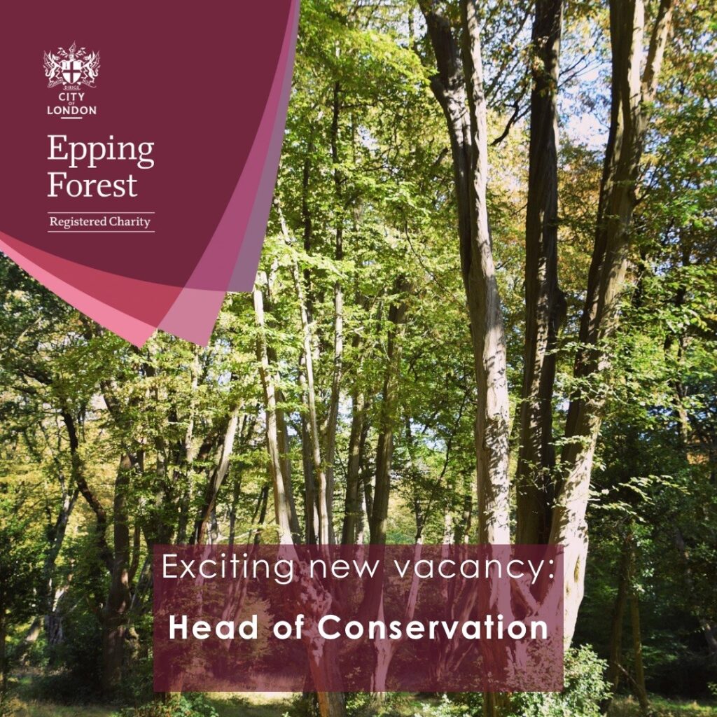 Vacancy: Head of Conservation – Epping Forest