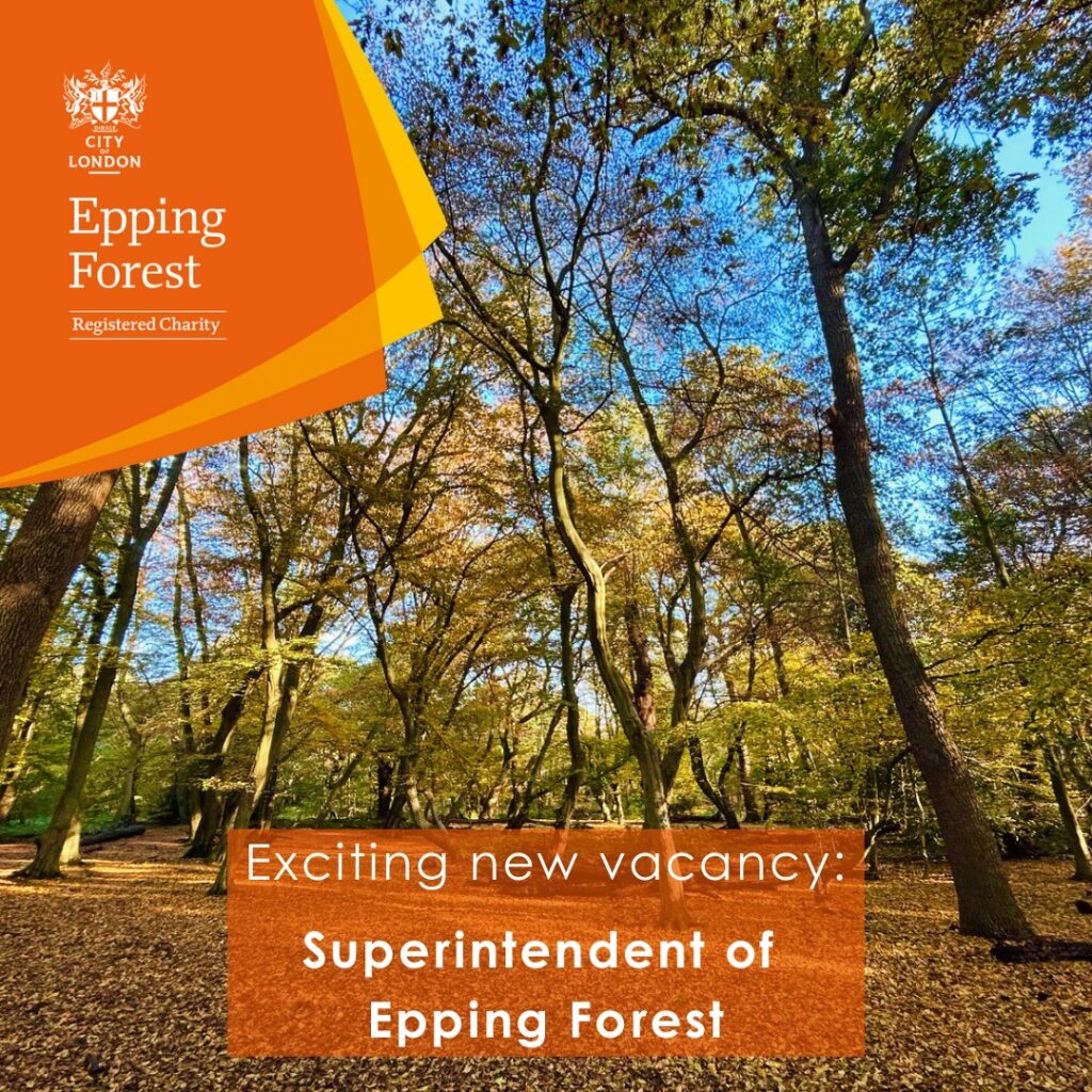 Vacancy: Superintendent of Epping Forest