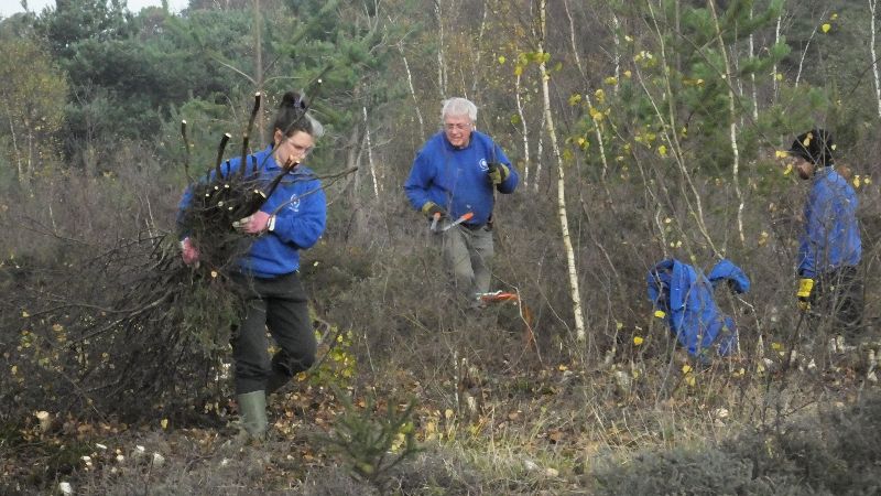 Burnham Beeches & Stoke Common, Buckinghamshire – Newsletter Jan 2024