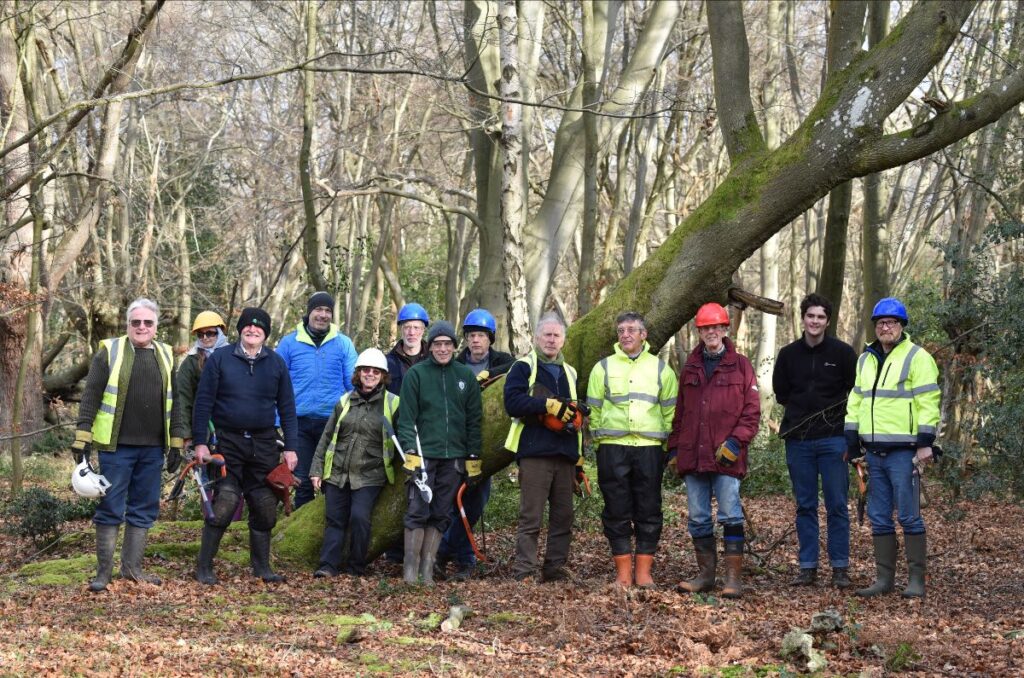 Epping Forest – Newsletter Feb 2024