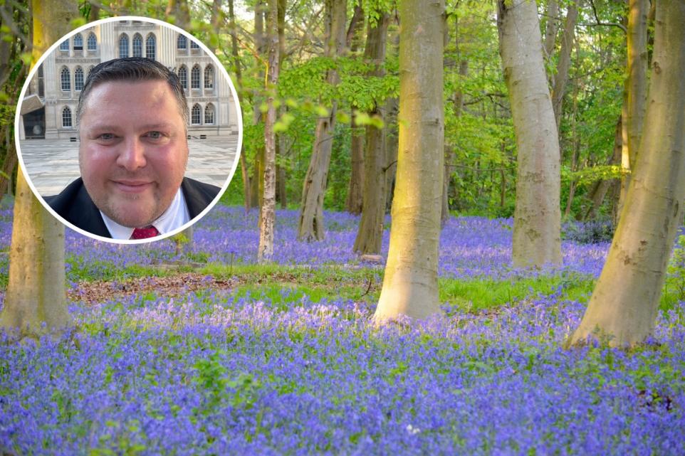 Epping Forest: Visitors urged to help protect native bluebells