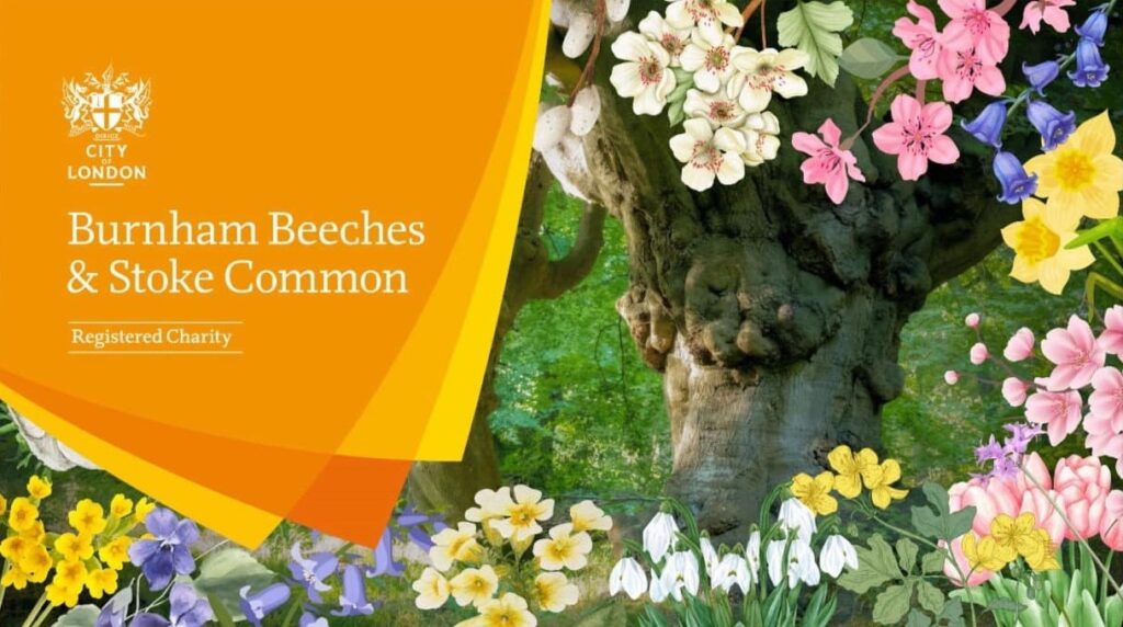 Burnham Beeches: Easter Egg Hunt
