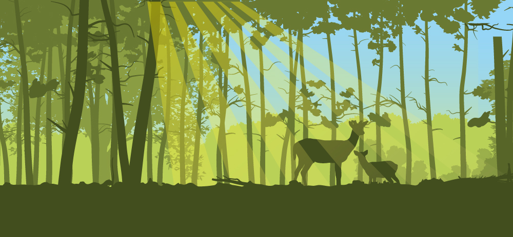 Job Vacancy: Epping Forest Keeper (Countryside Ranger)