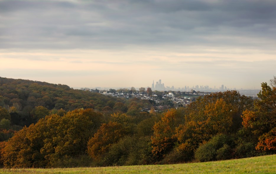 Epping Forest Celebrates £4.4m Grant for Habitat Restoration Work