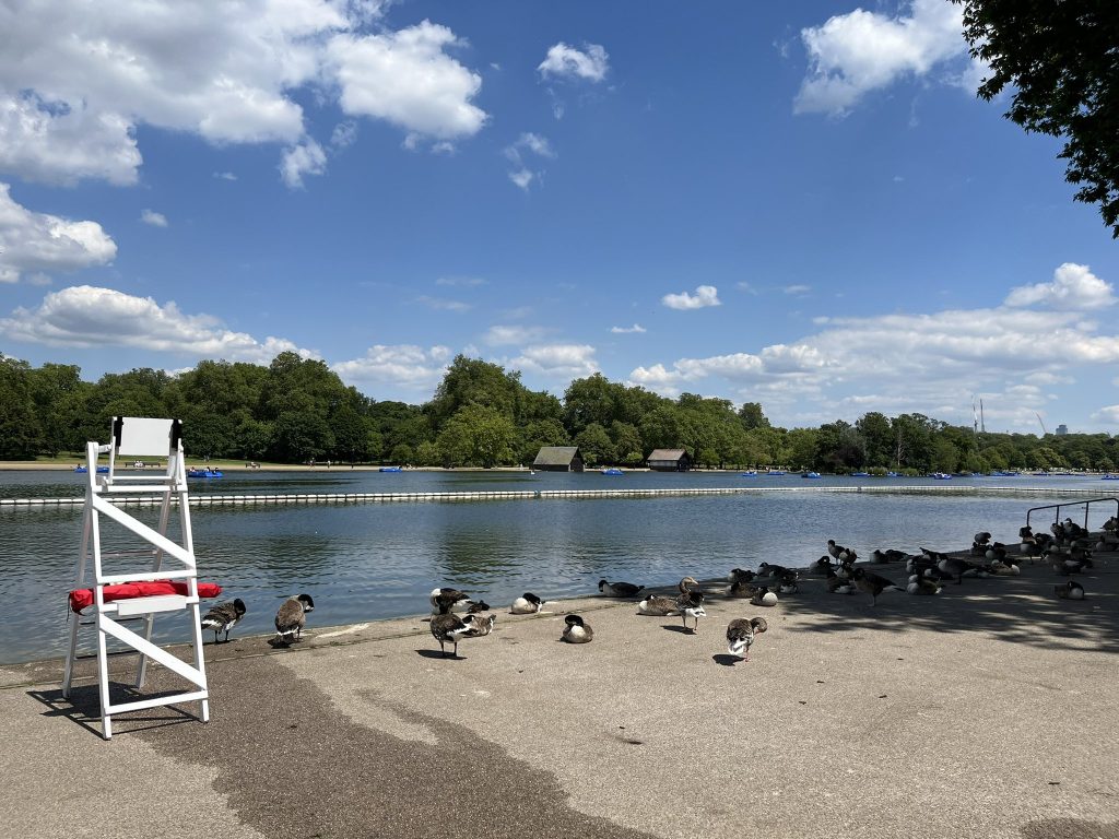 Hampstead Heath: Consultation on future access to the Ponds