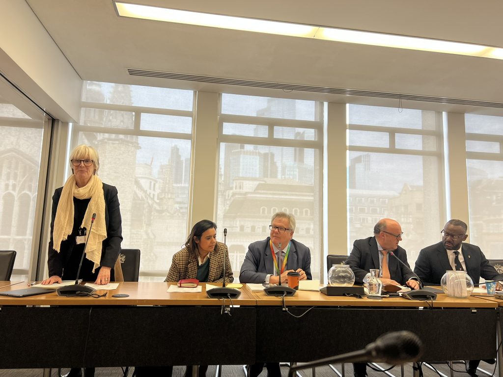 Helen Fentimen, Vice-Chair, Policy and Resources Committee, City of London Corporation